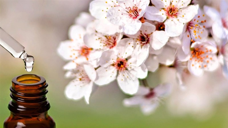 CONSULENZE DI FLORITERAPIA